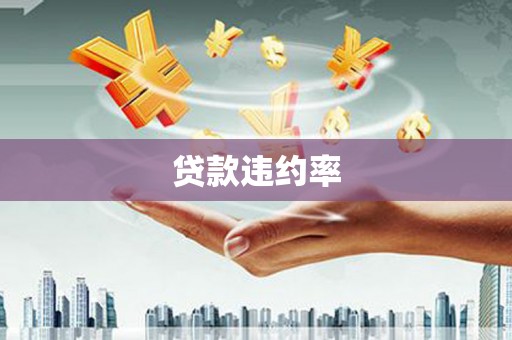 郸城贷款违约率