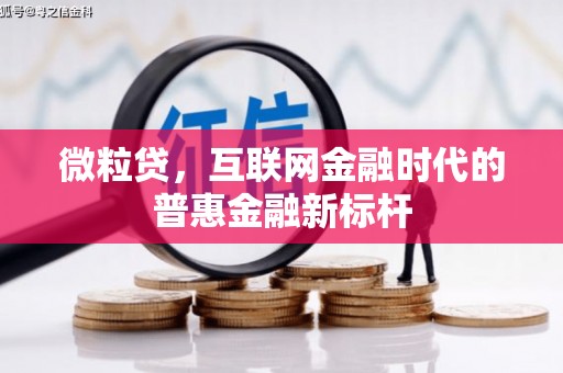 郸城微粒贷，互联网金融时代的普惠金融新标杆