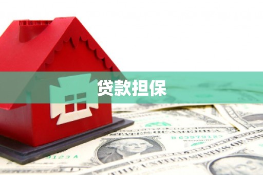 郸城贷款担保