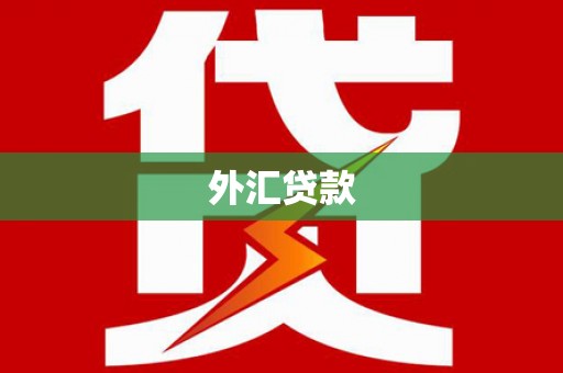 郸城外汇贷款