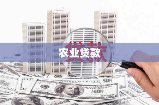 郸城农业贷款