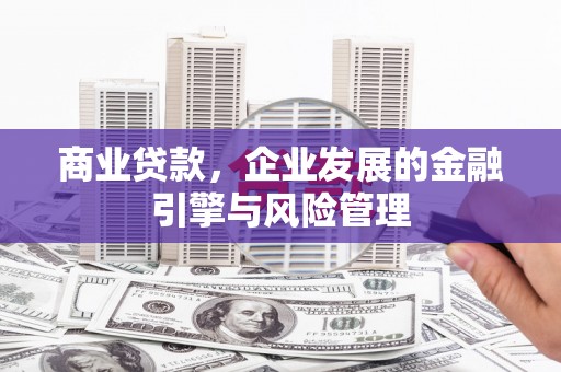 郸城商业贷款，企业发展的金融引擎与风险管理