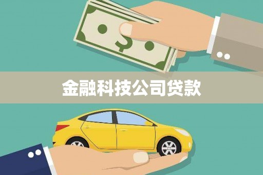 郸城金融科技公司贷款