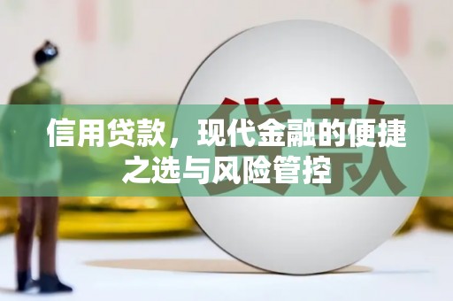 郸城信用贷款，现代金融的便捷之选与风险管控