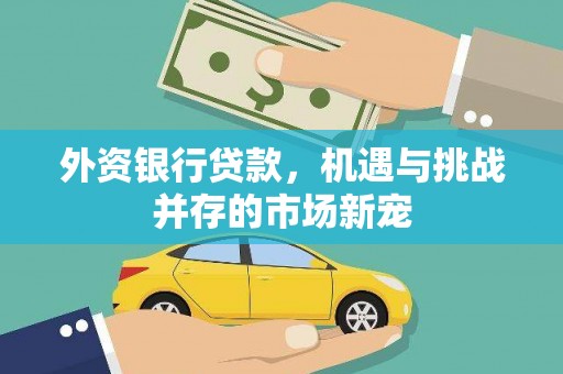 郸城外资银行贷款，机遇与挑战并存的市场新宠