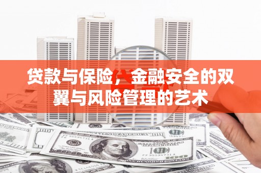 郸城贷款与保险，金融安全的双翼与风险管理的艺术