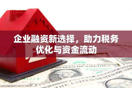 郸城企业融资新选择，助力税务优化与资金流动