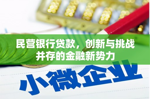 郸城民营银行贷款，创新与挑战并存的金融新势力