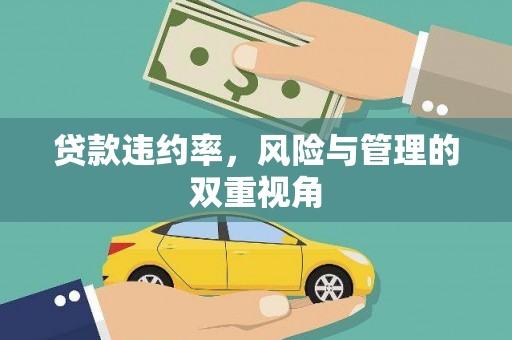 郸城贷款违约率，风险与管理的双重视角