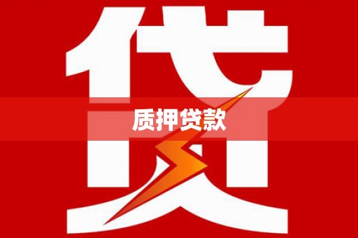 郸城质押贷款