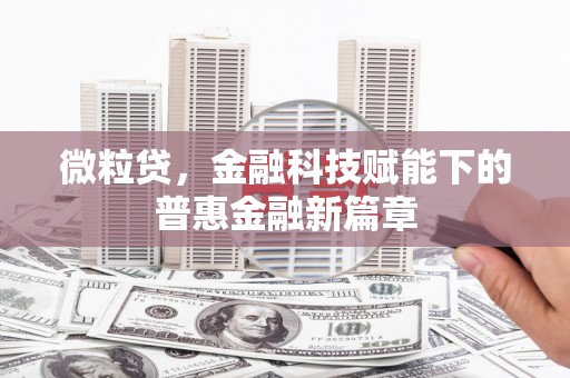 郸城微粒贷，金融科技赋能下的普惠金融新篇章
