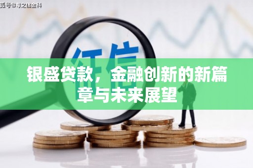 郸城银盛贷款，金融创新的新篇章与未来展望