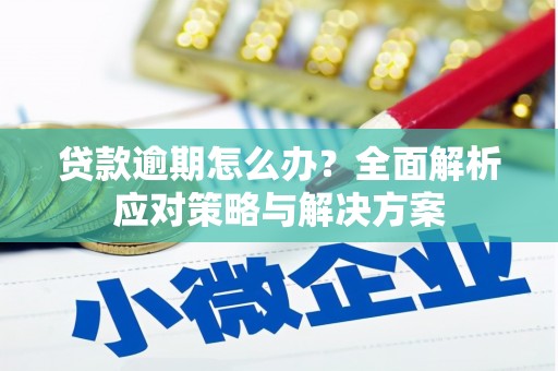 郸城贷款逾期怎么办？全面解析应对策略与解决方案