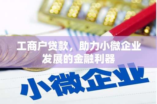 郸城工商户贷款，助力小微企业发展的金融利器