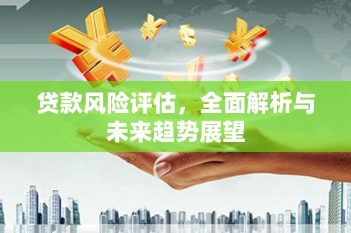 郸城贷款风险评估，全面解析与未来趋势展望