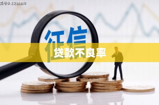 郸城贷款不良率