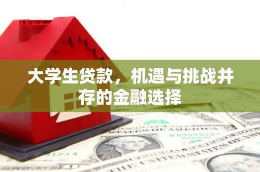郸城大学生贷款，机遇与挑战并存的金融选择