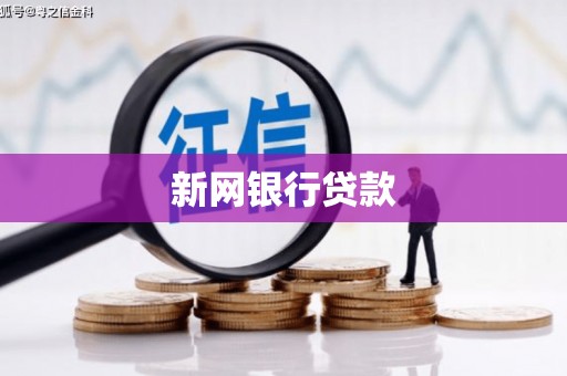 郸城新网银行贷款