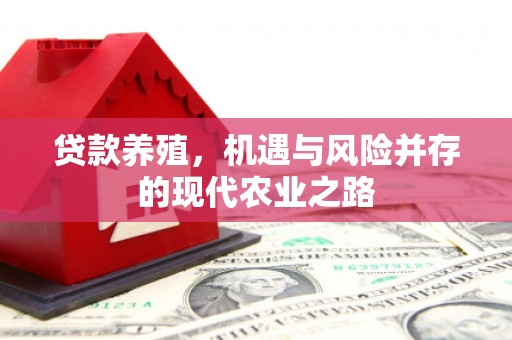 郸城贷款养殖，机遇与风险并存的现代农业之路