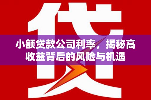 郸城小额贷款公司利率，揭秘高收益背后的风险与机遇