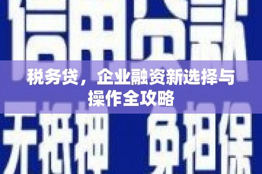 郸城税务贷，企业融资新选择与操作全攻略