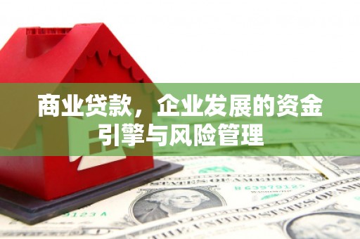郸城商业贷款，企业发展的资金引擎与风险管理