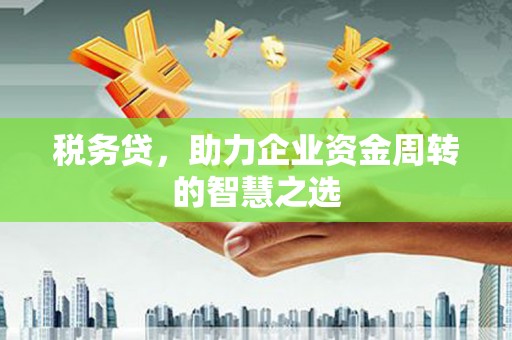 郸城税务贷，助力企业资金周转的智慧之选