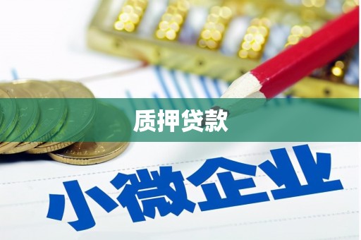 郸城质押贷款
