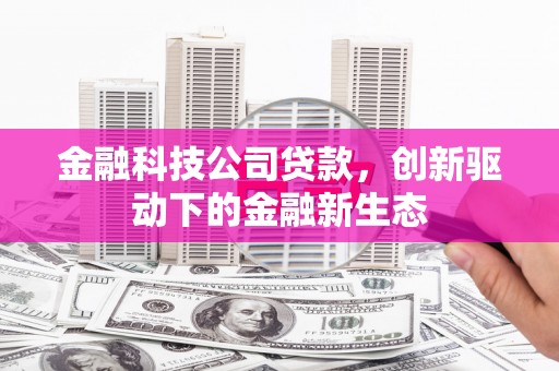 郸城金融科技公司贷款，创新驱动下的金融新生态