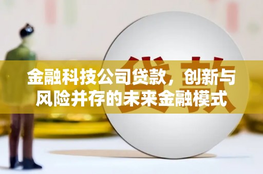 郸城金融科技公司贷款，创新与风险并存的未来金融模式