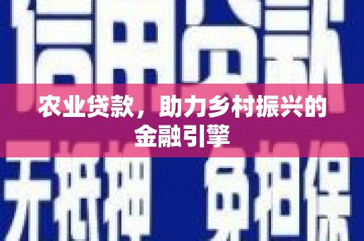 郸城农业贷款，助力乡村振兴的金融引擎