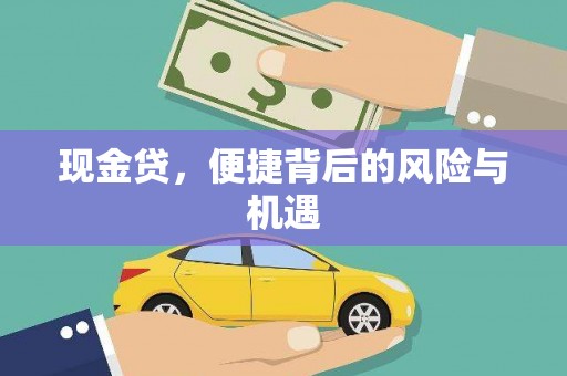 郸城现金贷，便捷背后的风险与机遇