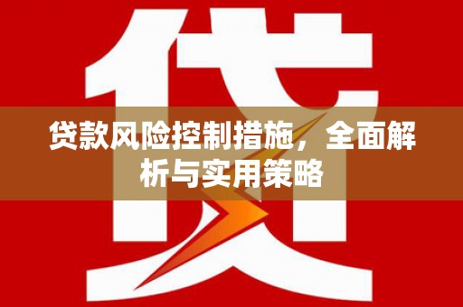 郸城贷款风险控制措施，全面解析与实用策略