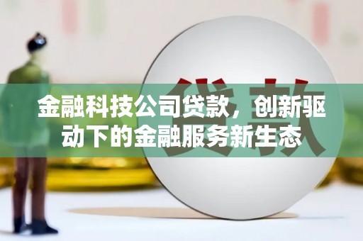 郸城金融科技公司贷款，创新驱动下的金融服务新生态