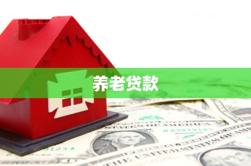 郸城养老贷款