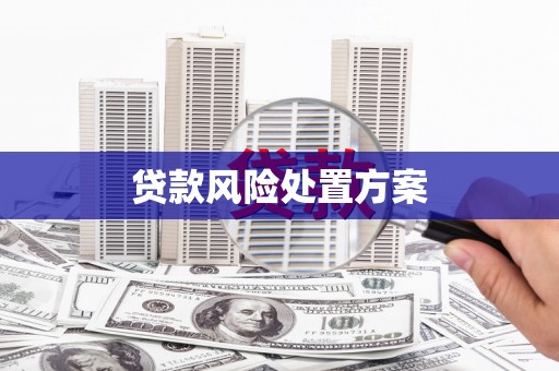 郸城贷款风险处置方案