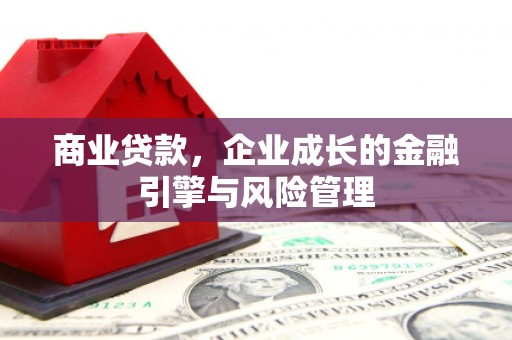 郸城商业贷款，企业成长的金融引擎与风险管理