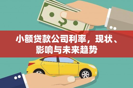 郸城小额贷款公司利率，现状、影响与未来趋势