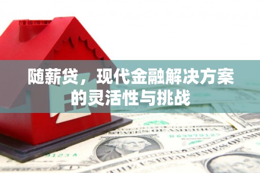 郸城随薪贷，现代金融解决方案的灵活性与挑战