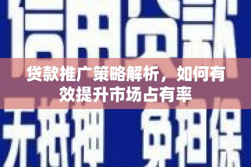 郸城贷款推广策略解析，如何有效提升市场占有率