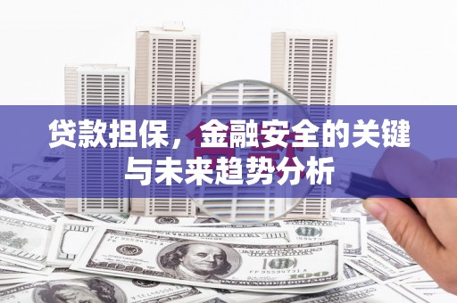郸城贷款担保，金融安全的关键与未来趋势分析