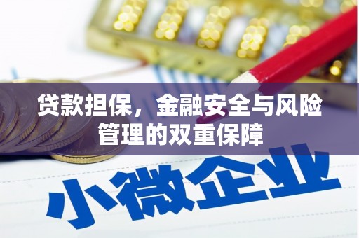 郸城贷款担保，金融安全与风险管理的双重保障