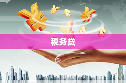 郸城税务贷