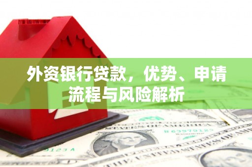 郸城外资银行贷款，优势、申请流程与风险解析