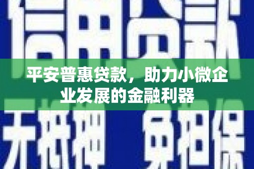 郸城平安普惠贷款，助力小微企业发展的金融利器