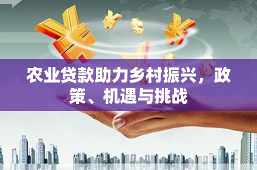 郸城农业贷款助力乡村振兴，政策、机遇与挑战