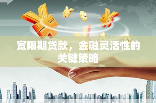 郸城宽限期贷款，金融灵活性的关键策略