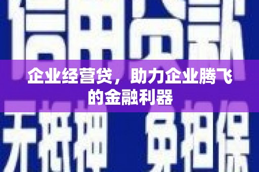 郸城企业经营贷，助力企业腾飞的金融利器