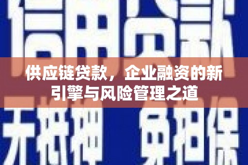 郸城供应链贷款，企业融资的新引擎与风险管理之道
