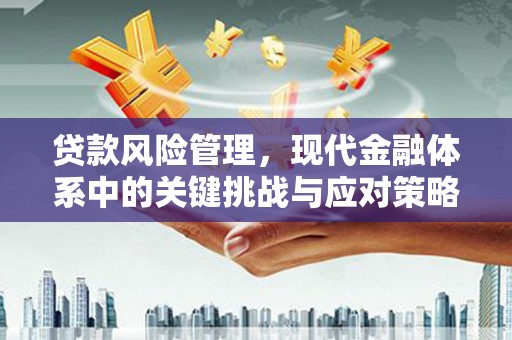 郸城贷款风险管理，现代金融体系中的关键挑战与应对策略